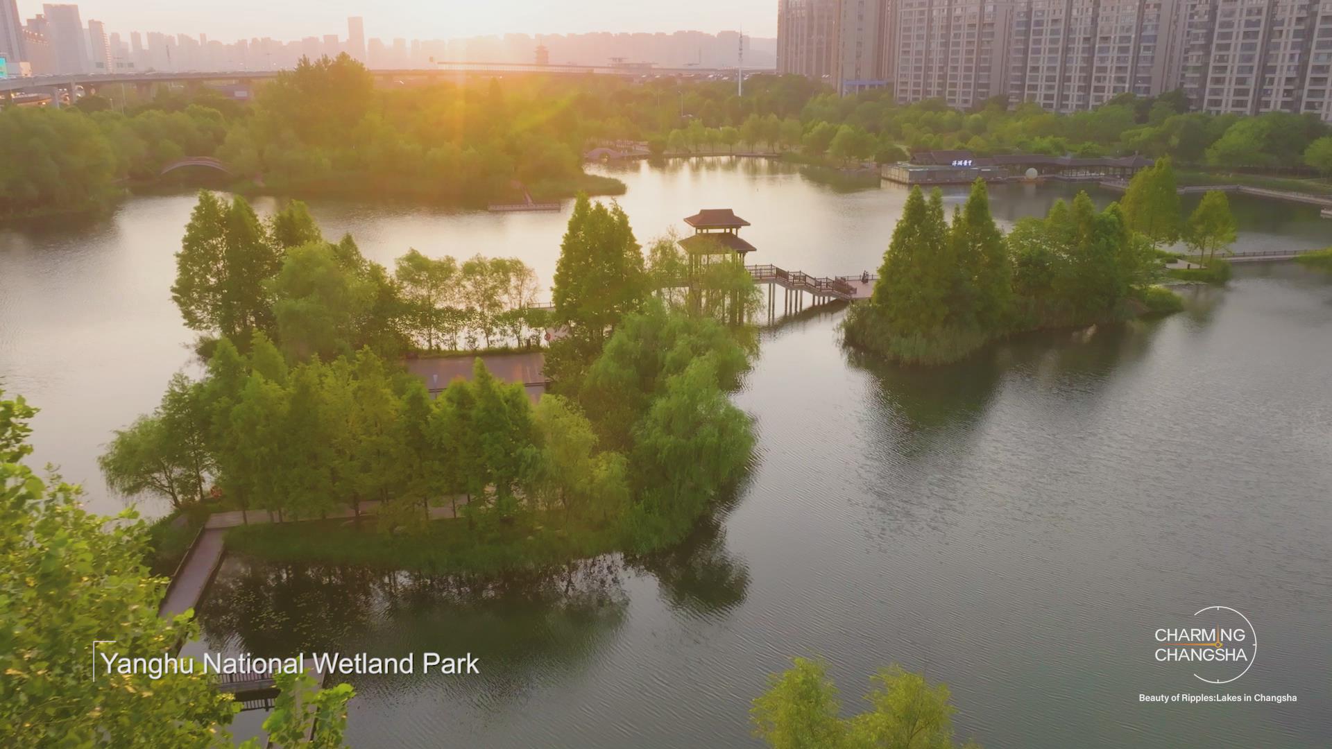 One Lake, Countless Experiences! “Changsha in One Minute” Invites You to Discover Yanghu