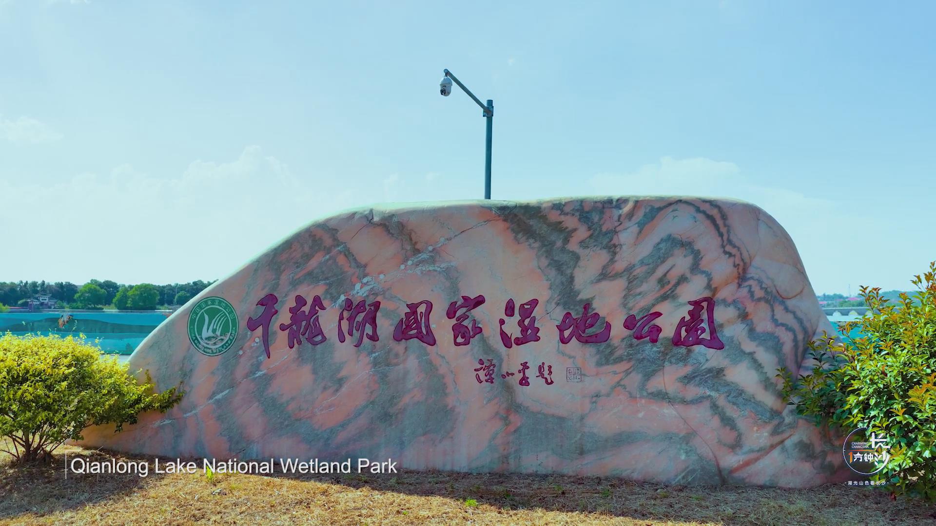 A Lake Revitalizes Culture and Tourism- “Changsha in One Minute” Takes You into the Ecological Treasure of Qianlong Lake